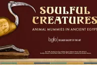 Las Vegas Animal Mummies Exhibition thumbnail 1