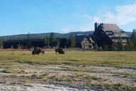 Yellowstone Upper Geyser Basin Self-Guided Audio Tour thumbnail 5