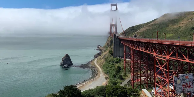 San Francisco Muir Woods and Sausalito Tour - Image 3