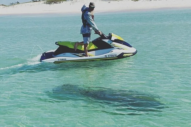 Panama City Beach Jet Ski Dolphin Tour 2 hr - Image 3