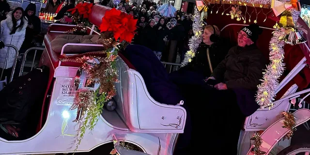 New York City Christmas Lights Horse Carriage Ride - Image 6