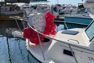 San Diego Wine and Cheese Boat Cruise thumbnail 5