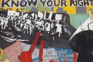New York City Harlem Civil Rights Walking Tour with Lunch thumbnail 3