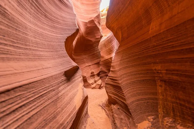 Rattlesnake Canyon Tour - Image 3