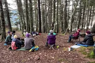 Haines Forest Therapy Tour thumbnail 3