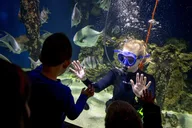 Virginia Living Museum Adventure thumbnail 4