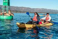 Santa Barbara Harbor Wildlife Kayak Tour 2 hr thumbnail 1
