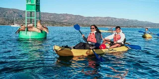 Santa Barbara Harbor Wildlife Kayak Tour 2 hr