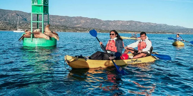 Santa Barbara Harbor Wildlife Kayak Tour 2 hr - Image 1
