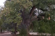 Sedona Vortex Energy Balancing Journey thumbnail 6