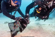 Waikiki Wreck and Reef Dive thumbnail 6