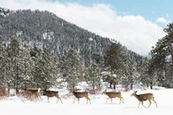 Estes Park Rocky Mountain National Park Private Tour thumbnail 6