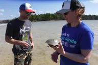 10,000 Islands Dolphin & Shelling Boat Tour 3.5 hr thumbnail 1