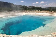 Yellowstone National Park Group Tour thumbnail 6