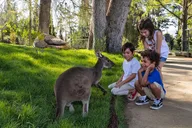 San Diego Zoo Safari Park 1-Day Pass thumbnail 6