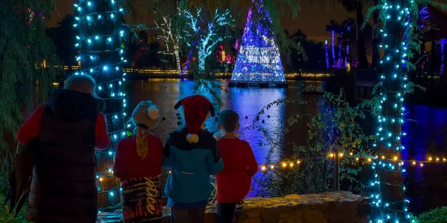 Phoenix ZooLights Entry Ticket - Image 1