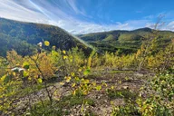 Fairbanks Angel Rocks Hike and Chena Hot Springs Tour thumbnail 3