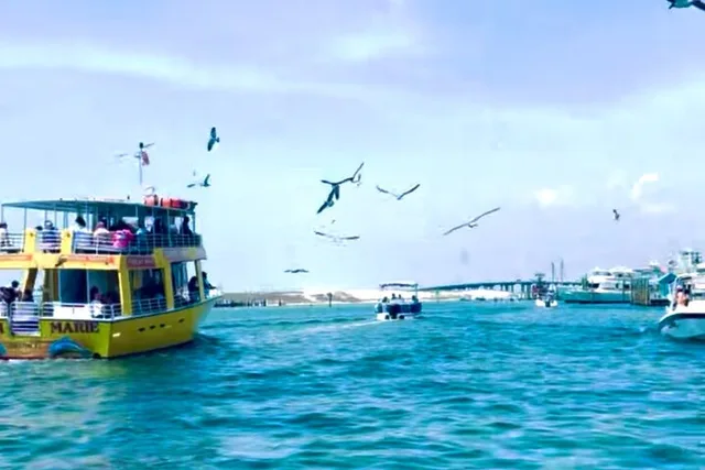 Destin Harbor Boat Ride and Dolphin Watching - Image 4