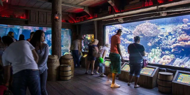 Houston Downtown Aquarium All Day Pass - Image 4