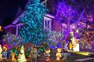 Brooklyn Dyker Heights Holiday Lights Tour 3 hr thumbnail 5
