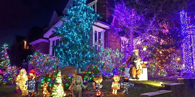 Brooklyn Dyker Heights Holiday Lights Tour 3 hr - Image 5