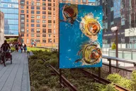 New York City Hudson Yards and High Line Tour thumbnail 5