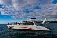 Waikoloa Whale Watching Cruise 90 Min thumbnail 1