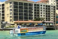 Clearwater Beach Dolphin-Watching Sunset Cruise 1.5 hr thumbnail 4