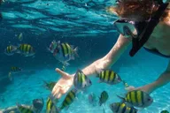 Miami Key West Day Trip with Optional Activities thumbnail 2