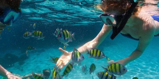 Miami Key West Day Trip with Optional Activities - Image 2