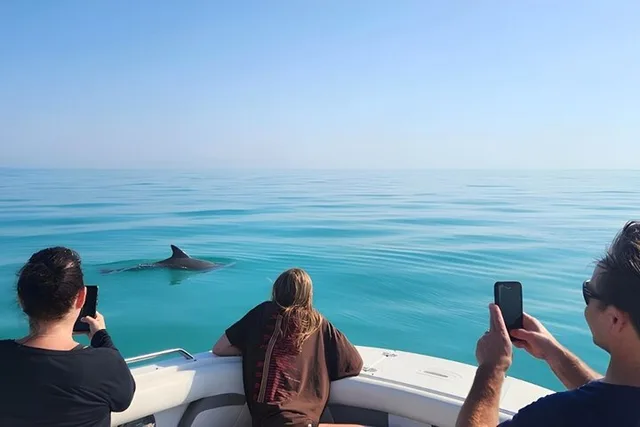 Key West Dolphin Watching and Snorkeling - Image 5