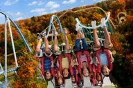 Williamsburg Busch Gardens Ticket & Water Country Option thumbnail 1