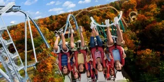 Williamsburg Busch Gardens Ticket & Water Country Option
