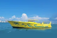 Clearwater Dolphin Watching Speed Boat Tour thumbnail 3