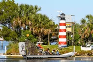 Homosassa Airboat Ride and Dolphin Watching thumbnail 6