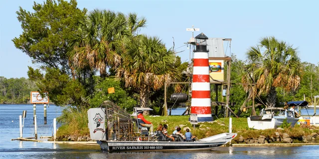 Homosassa Airboat Ride and Dolphin Watching - Image 6