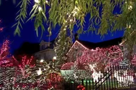 Brooklyn Dyker Heights Holiday Lights Tour 3 hr thumbnail 3