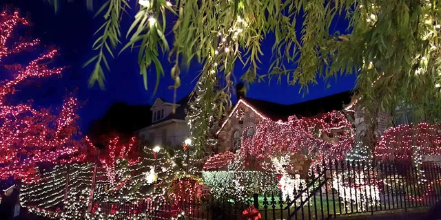 Brooklyn Dyker Heights Holiday Lights Tour 3 hr - Image 3