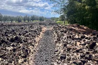 Big Island History & Local Shopping Tour thumbnail 4