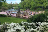 New York Horse Carriage Ride with Tavern on the Green thumbnail 5