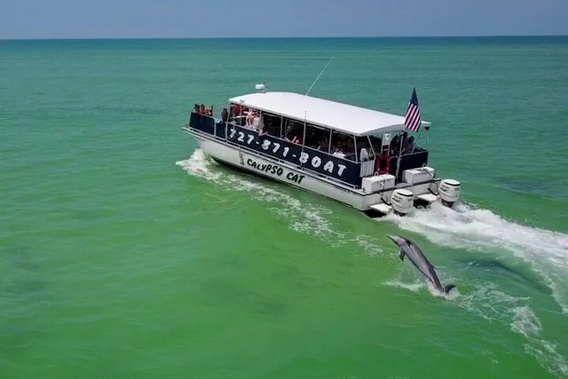 Egmont Key Island Tour with Dolphins & Snorkeling - Image 3