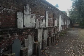 Savannah Voices of the Dead Tour 90 Min