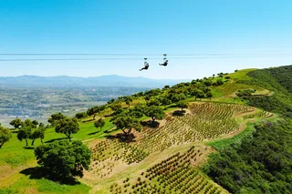 Santa Barbara Zipline Adventure