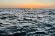 Tampa Bay Sunset Cruise with Celebrity Homes thumbnail 3