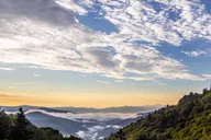 Pigeon Forge Smoky Mountains Jeep Tour thumbnail 4
