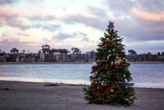 San Diego Private Walking Tour at Christmas - Image 2