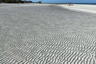 Key West Sandbar Boat Tour and Swim thumbnail 5