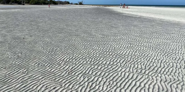 Key West Sandbar Boat Tour and Swim - Image 5