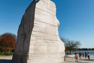Washington DC Cherry Blossom Bike Tour thumbnail 6