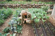 Napa Valley Farm Workshop thumbnail 1